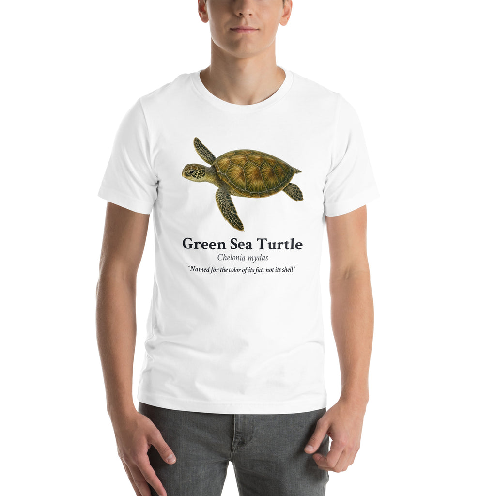 Green Sea Turtle Tee – White – front