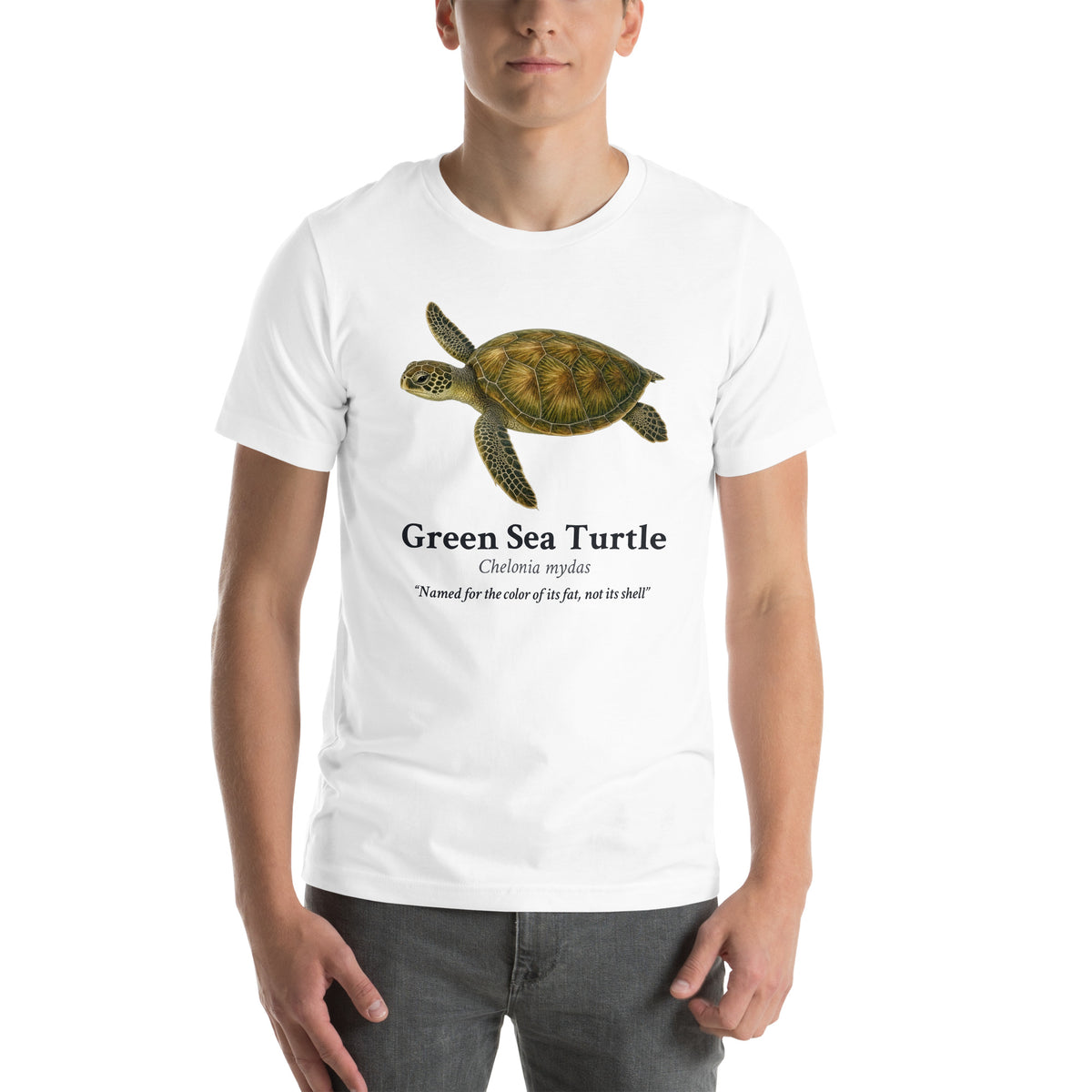 Green Sea Turtle Tee – White – front