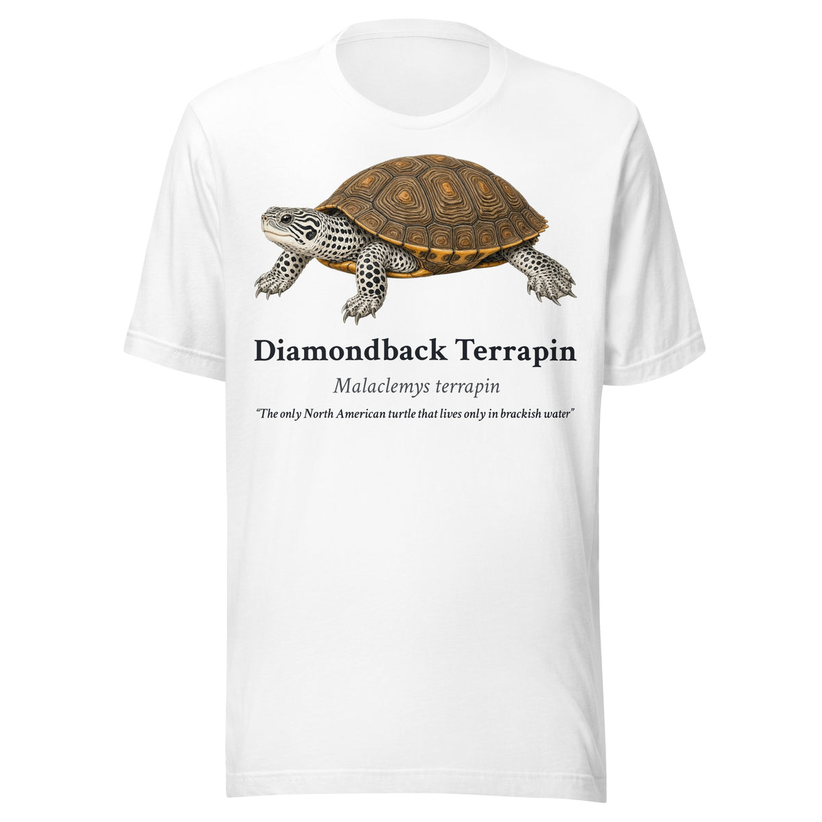 Diamondback Terrapin Tee – White – front