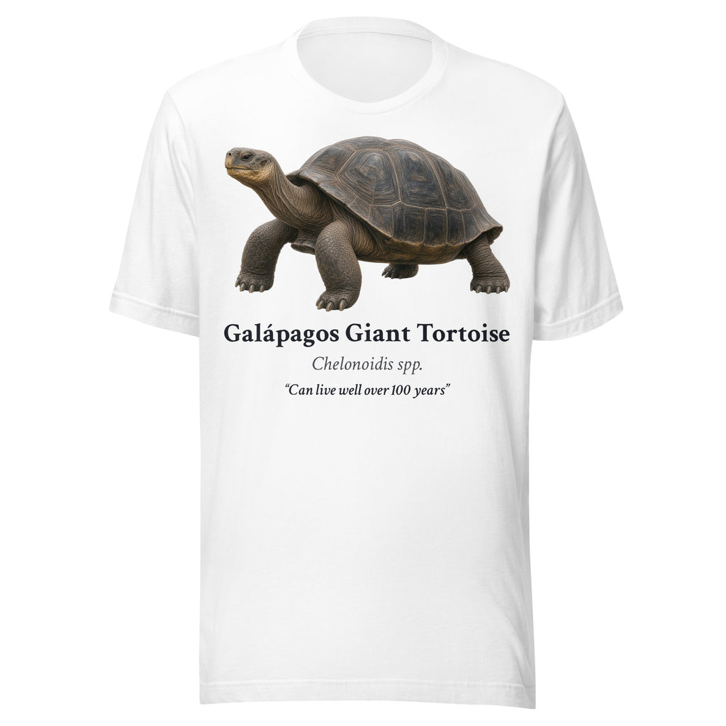 Galápagos Giant Tortoise Tee – White – front