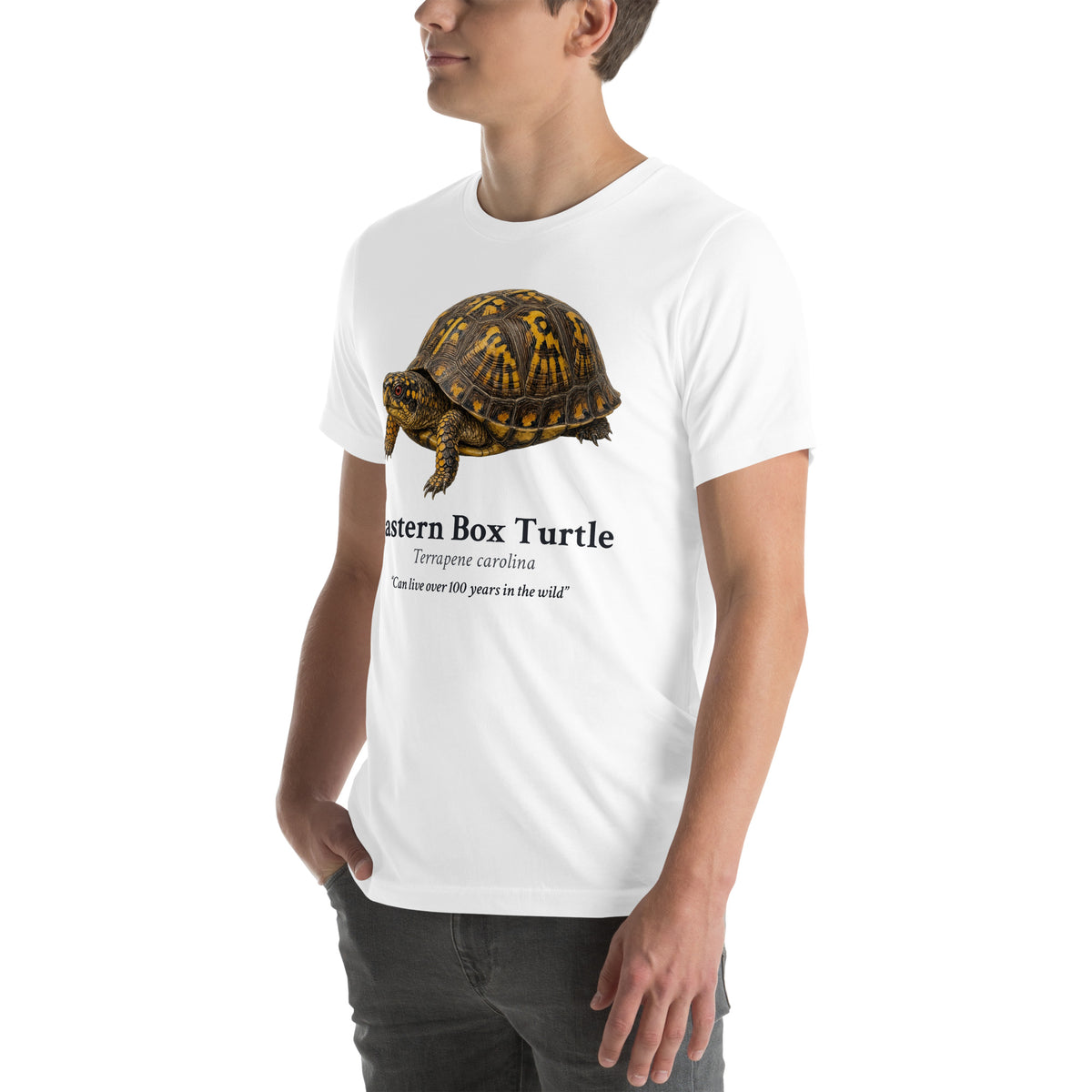 Eastern Box Turtle Tee – White – left front