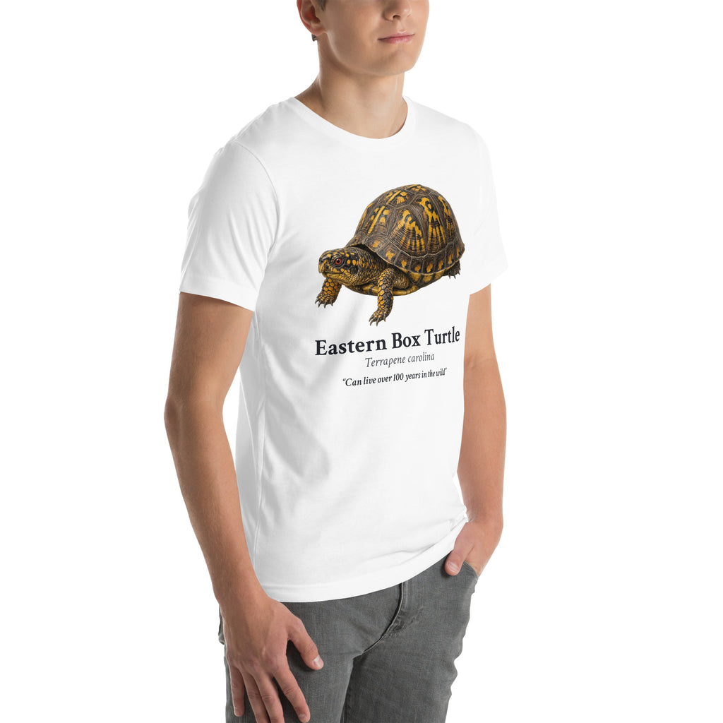 Eastern Box Turtle Tee – White – right front