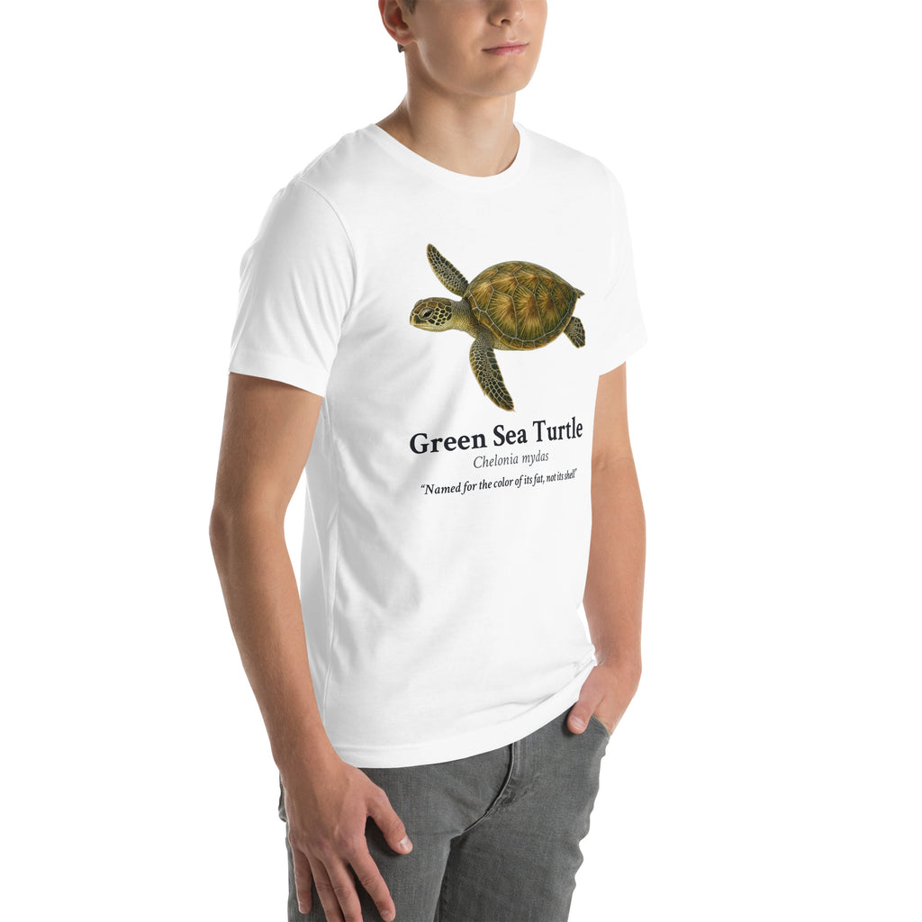 Green Sea Turtle Tee – White – right front
