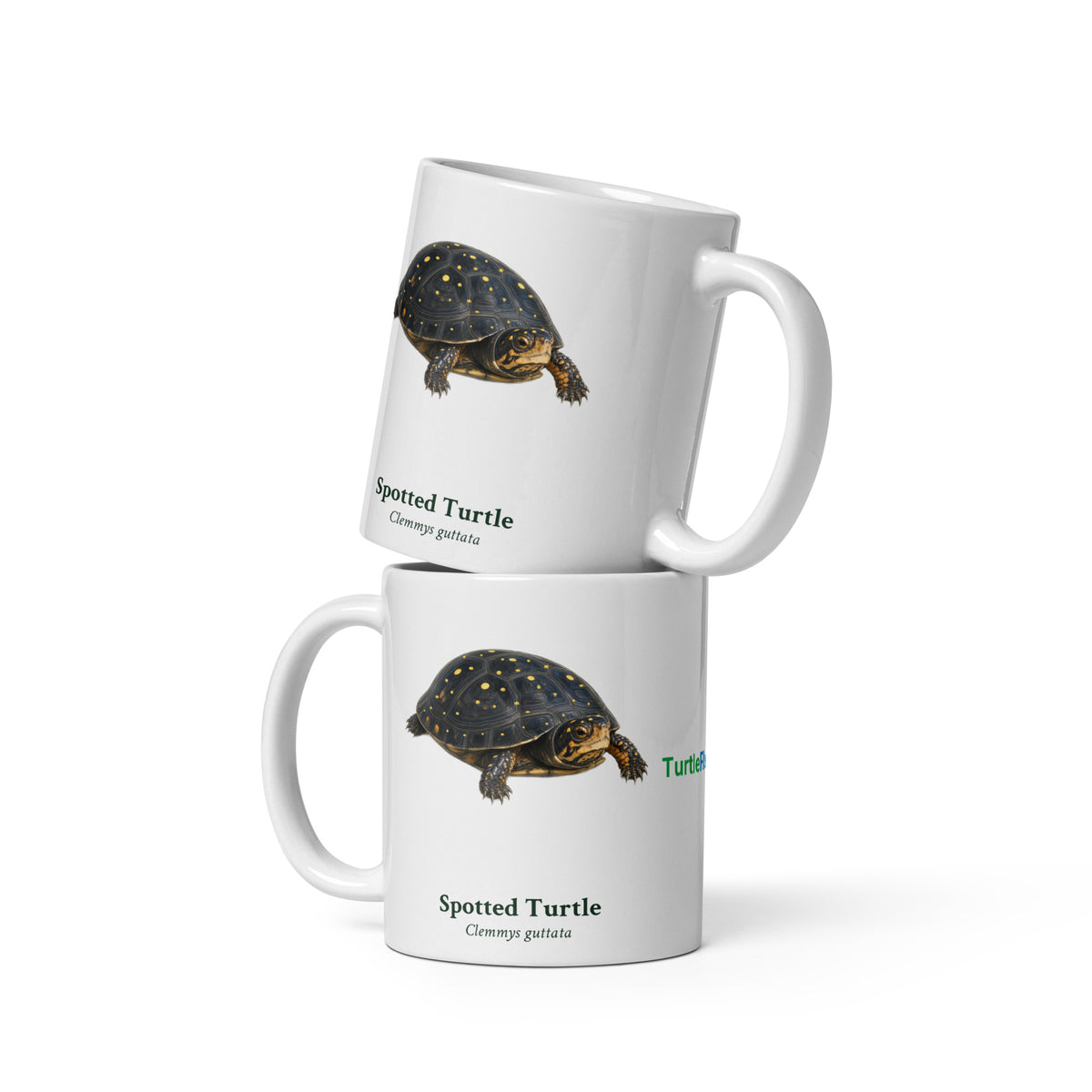 Spotted Turtle Mug – 11 oz – front