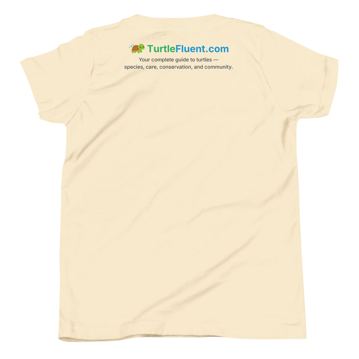 Answers to Turtles Kids Tee – Natural – back