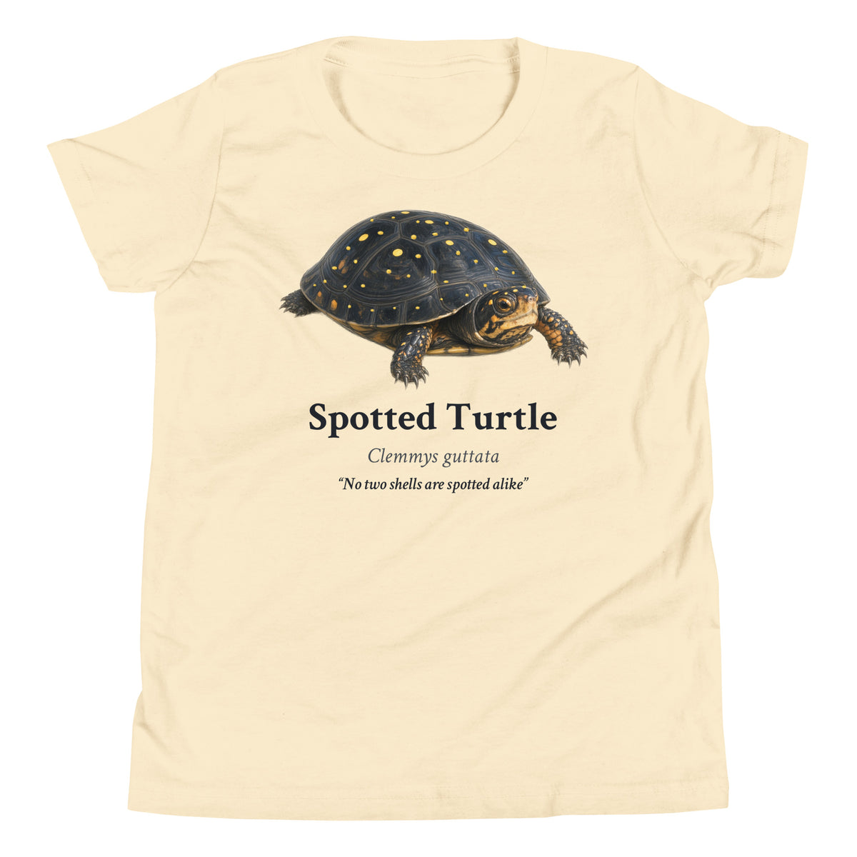 Spotted Turtle Kids Tee – Natural – front