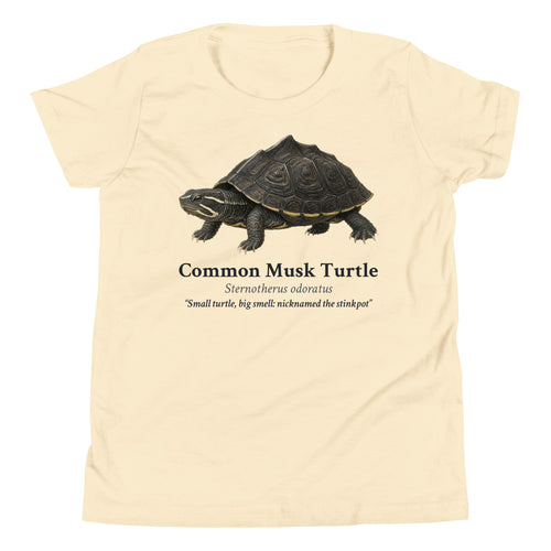 Common Musk Turtle Kids Tee – Natural – front