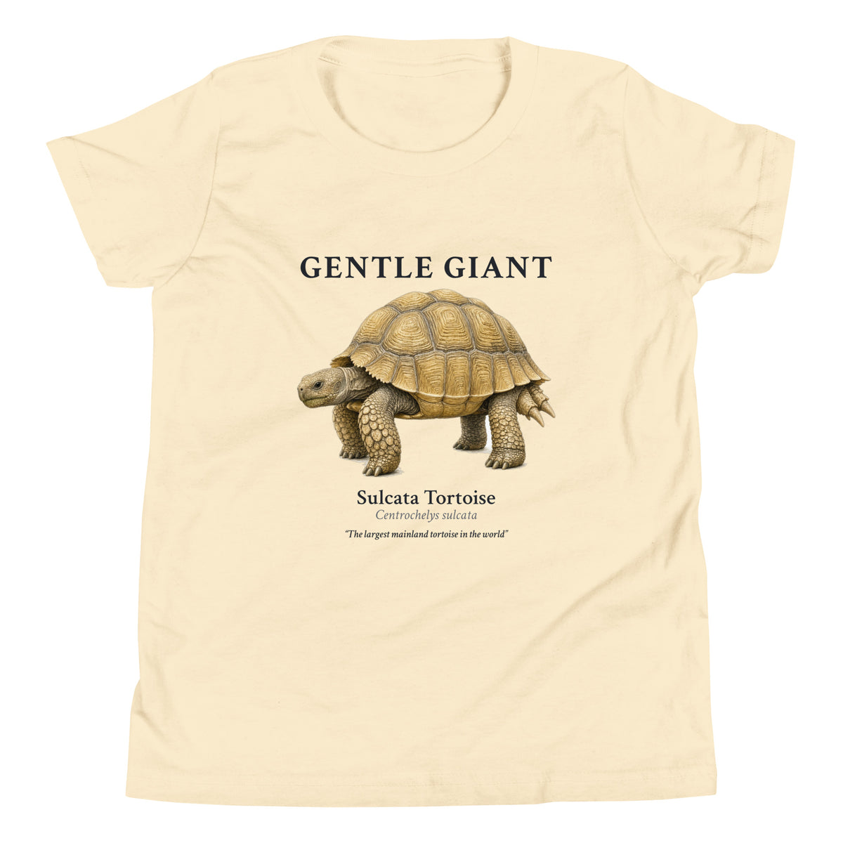 Sulcata Tortoise Kids Tee – Natural – front
