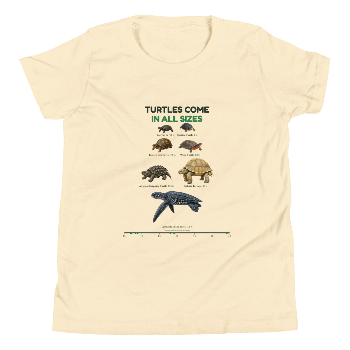 Turtles Come in All Sizes Kids Tee – Natural – front