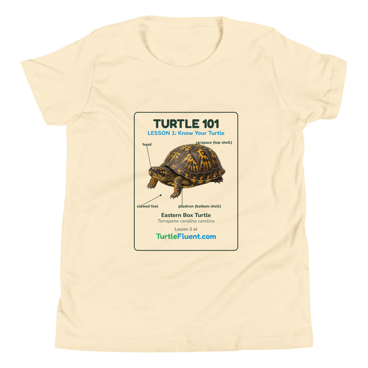 Turtle 101 Kids Tee – Natural – front