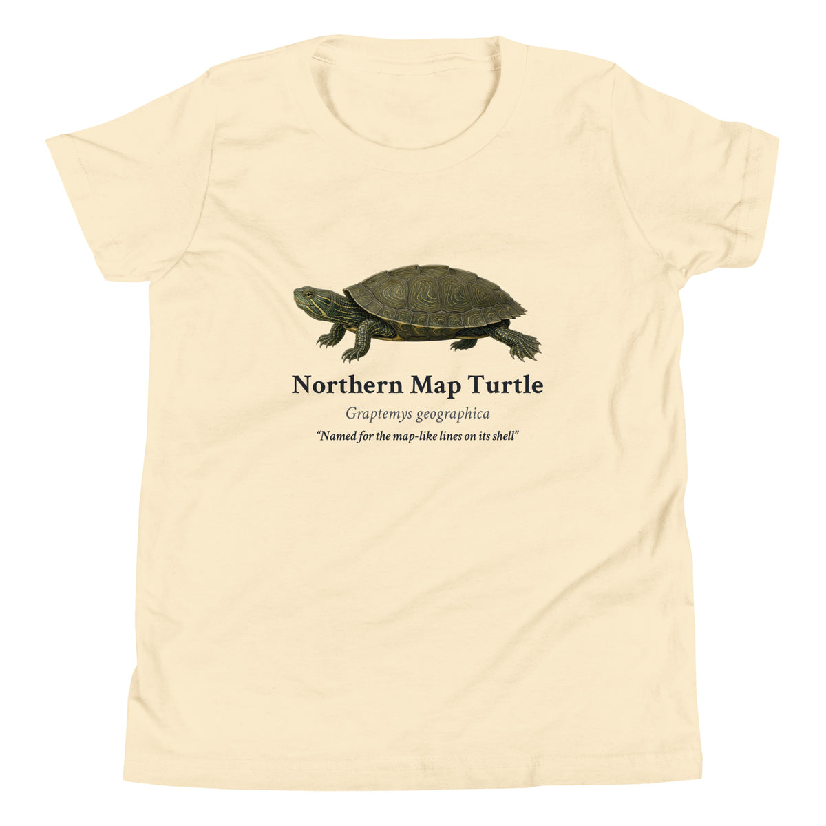 Northern Map Turtle Kids Tee – Natural – front