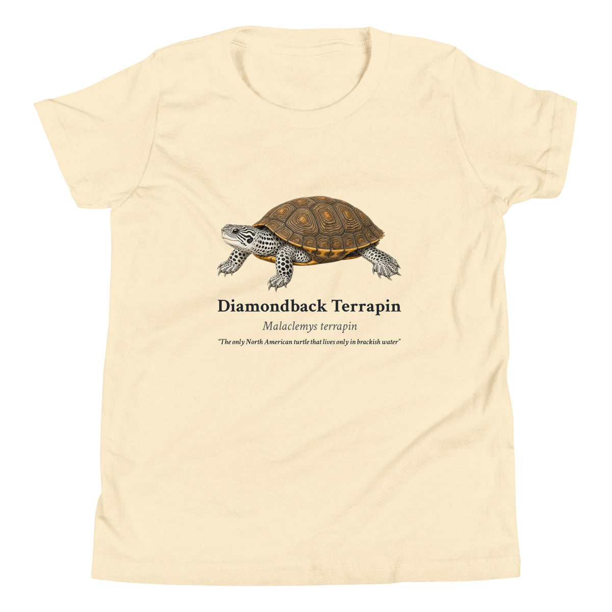 Diamondback Terrapin Kids Tee – Natural – front