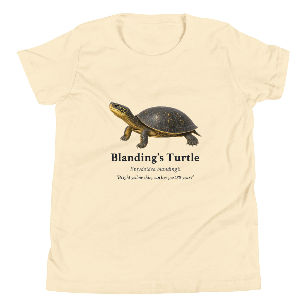 Blanding's Turtle Kids Tee – Natural – front