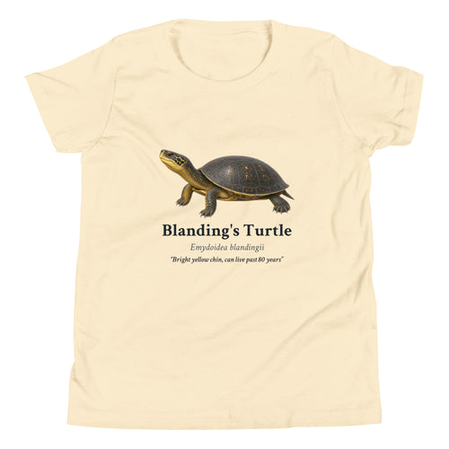 Blanding's Turtle Kids Tee – Natural – front
