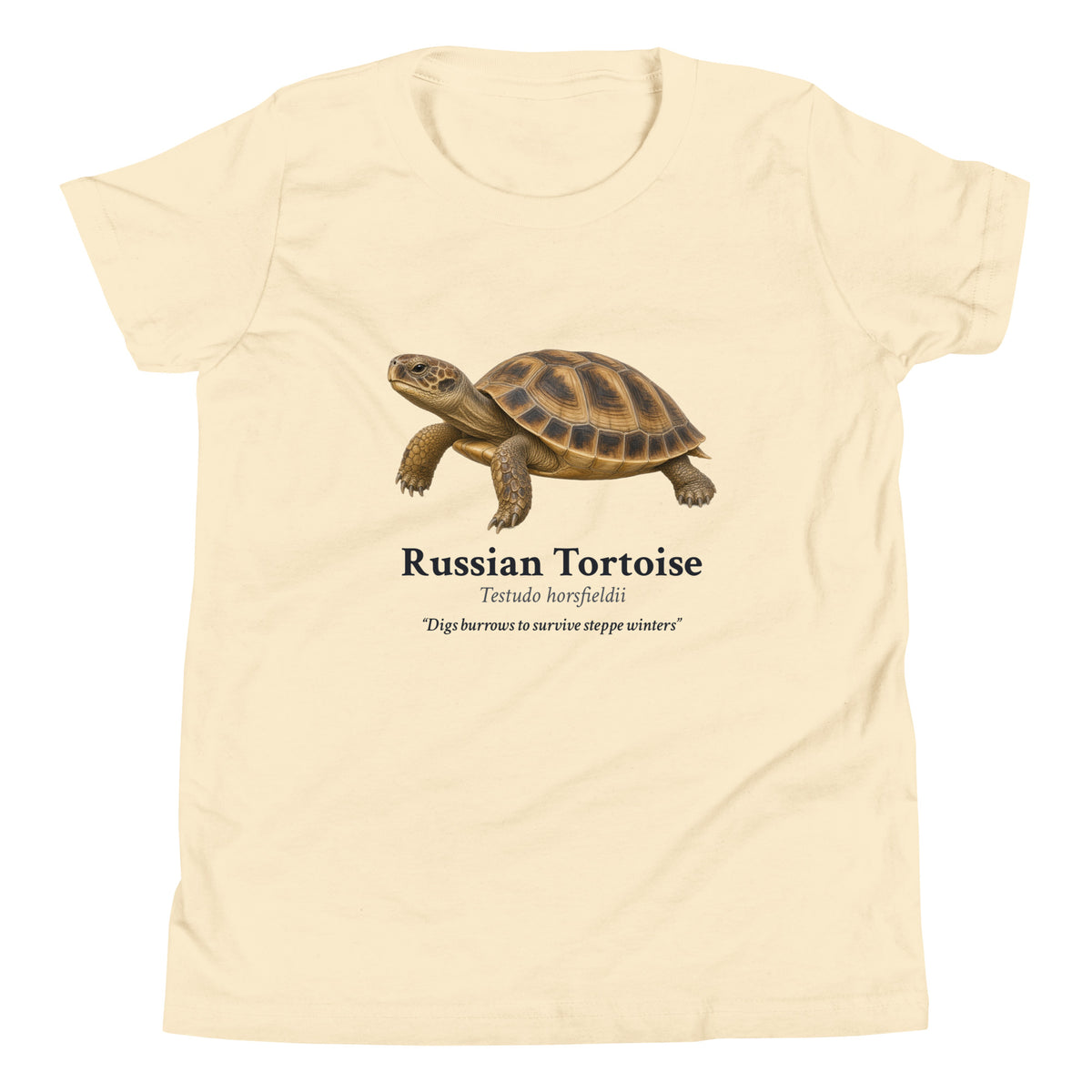 Russian Tortoise Kids Tee – Natural – front