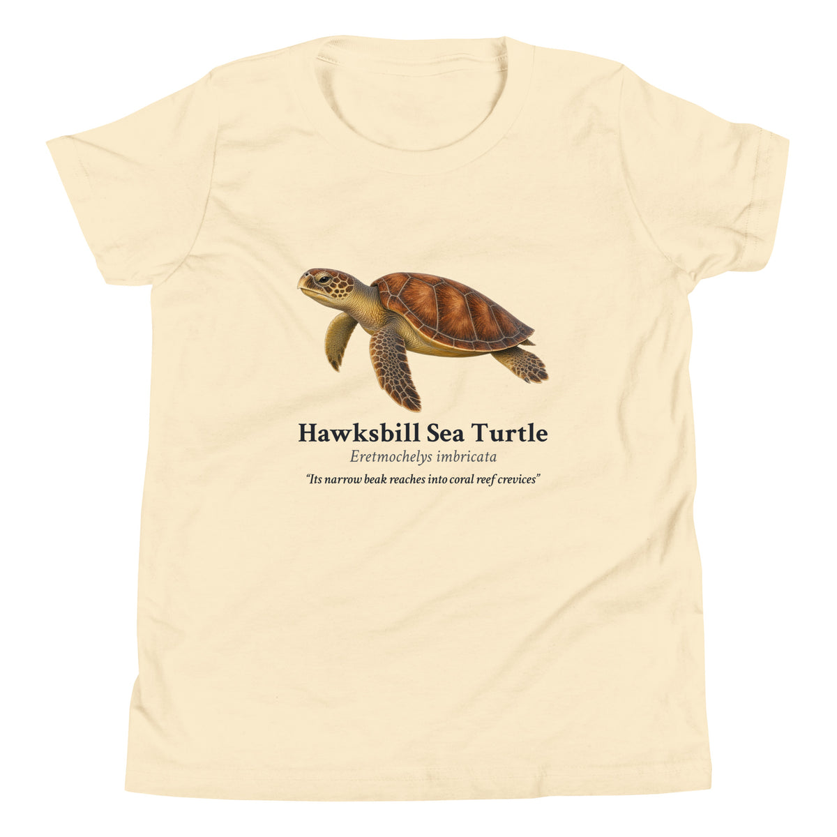 Hawksbill Sea Turtle Kids Tee – Natural – front