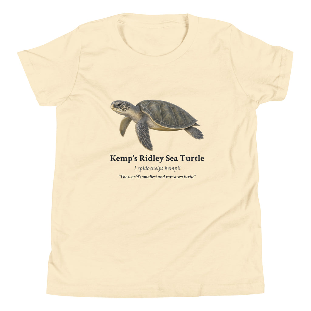 Kemp's Ridley Sea Turtle Kids Tee – Natural – front
