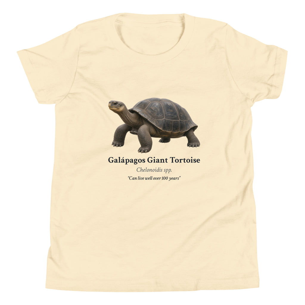 Galápagos Giant Tortoise Kids Tee – Natural – front