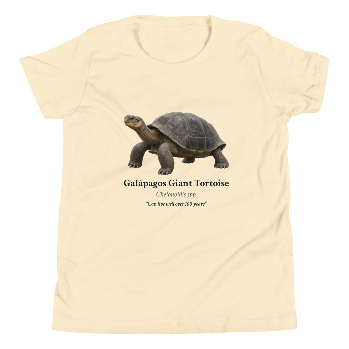 Galápagos Giant Tortoise Kids Tee – Natural – front