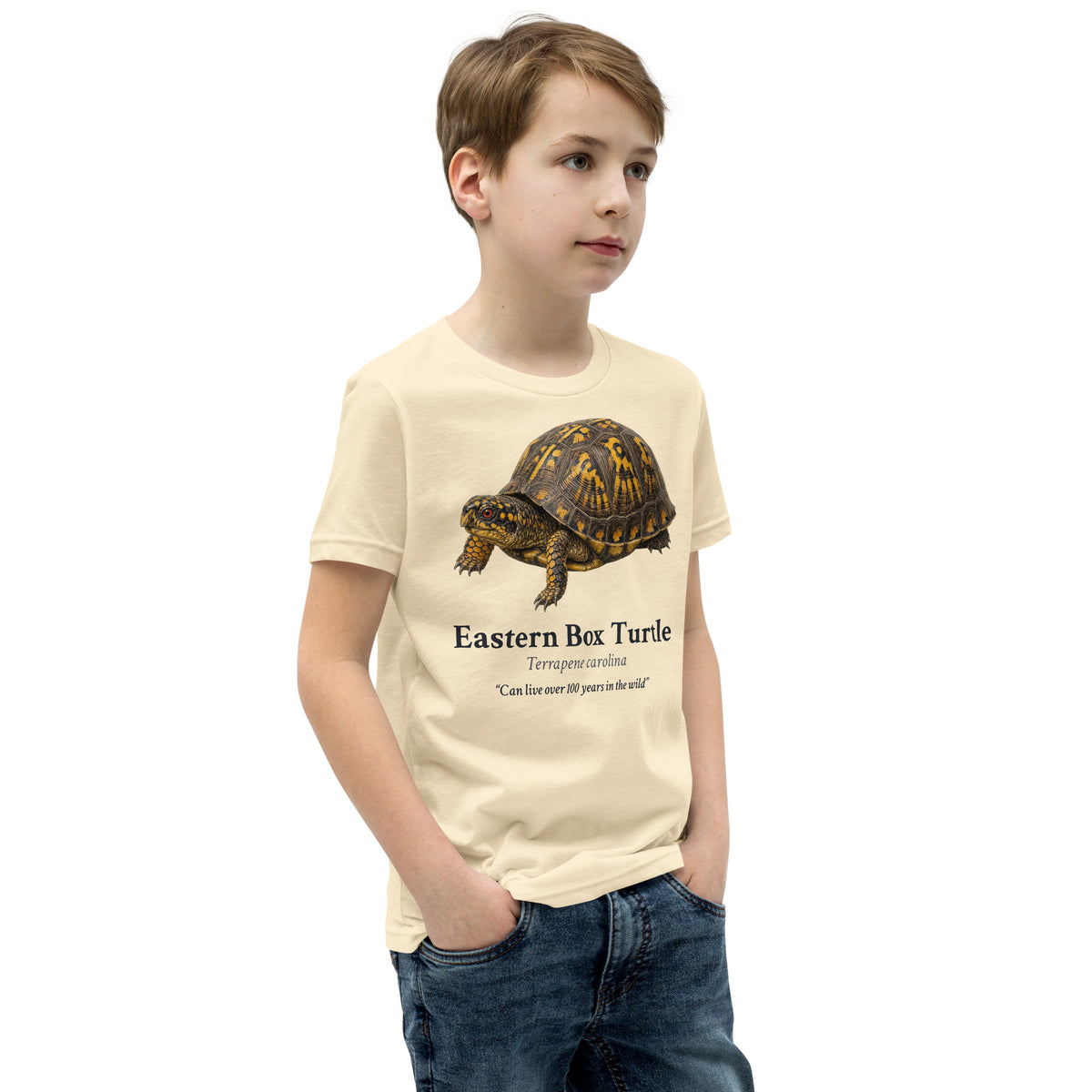 Eastern Box Turtle Kids Tee – Natural – right front