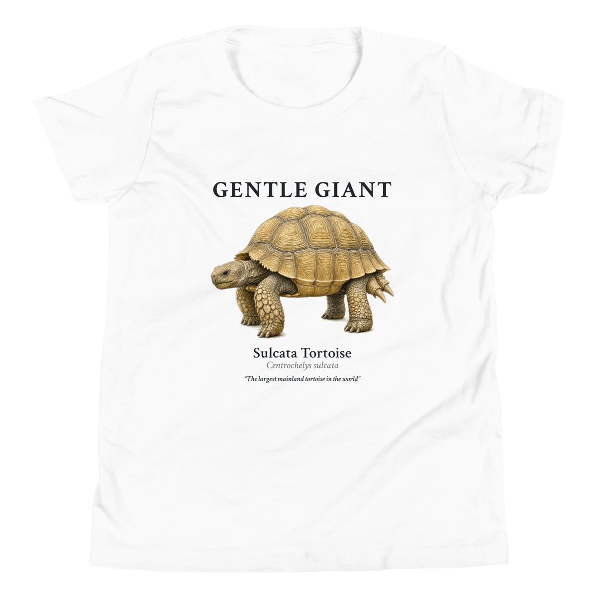 Sulcata Tortoise Kids Tee – White – front