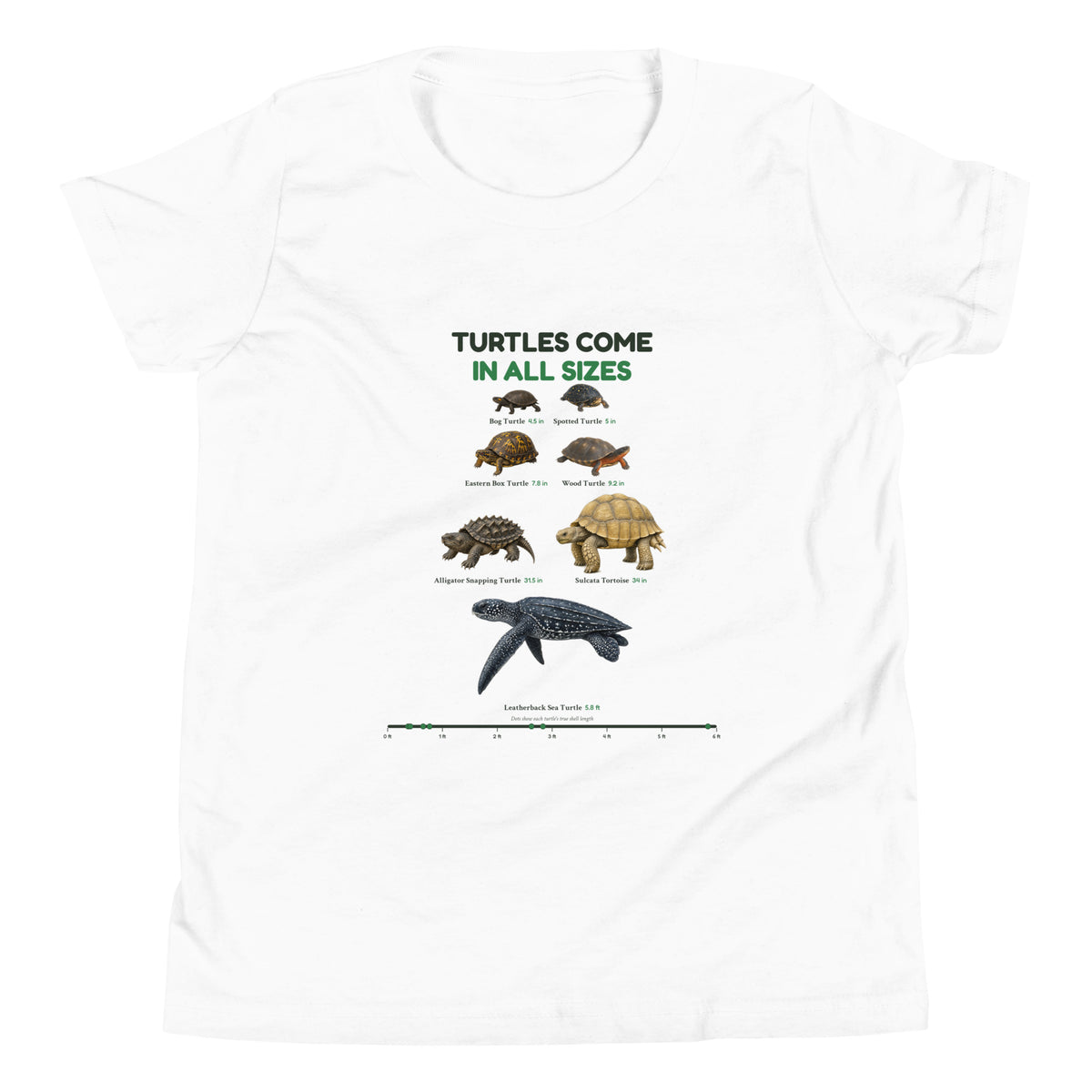 Turtles Come in All Sizes Kids Tee – White – front