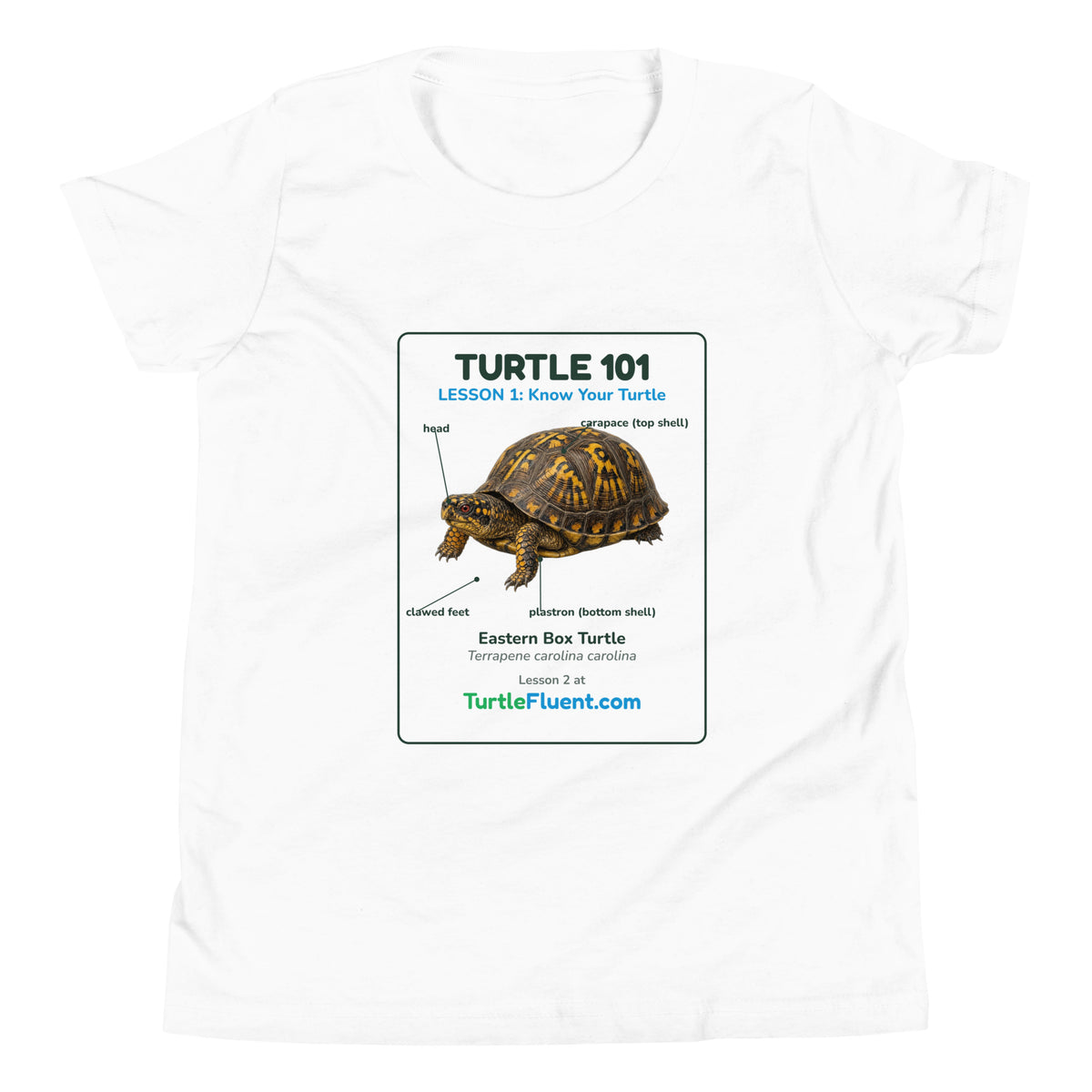 Turtle 101 Kids Tee – White – front