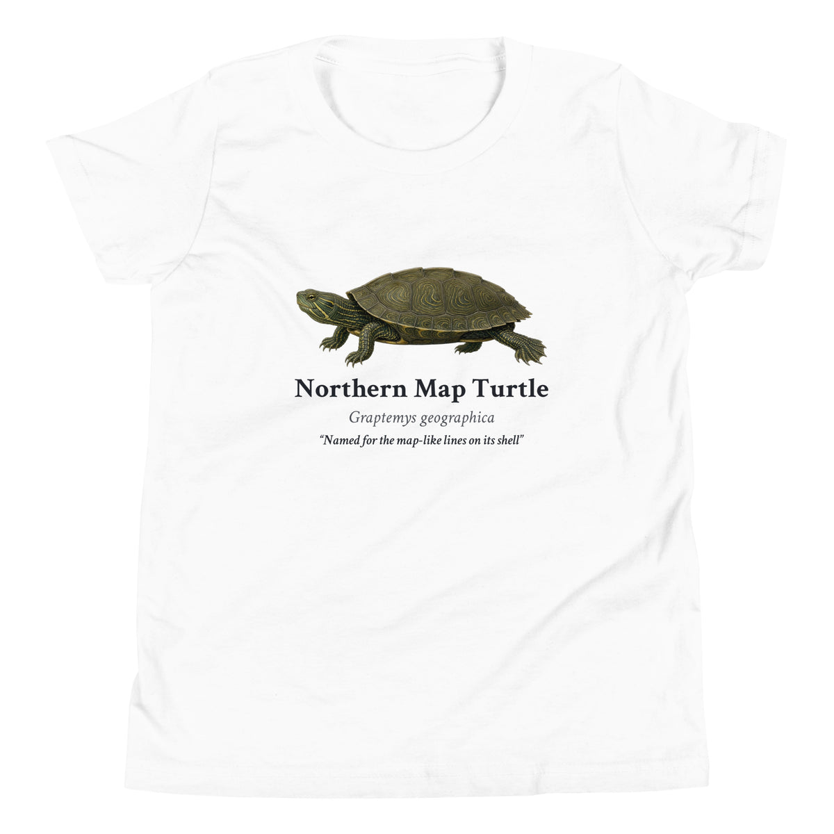 Northern Map Turtle Kids Tee – White – front