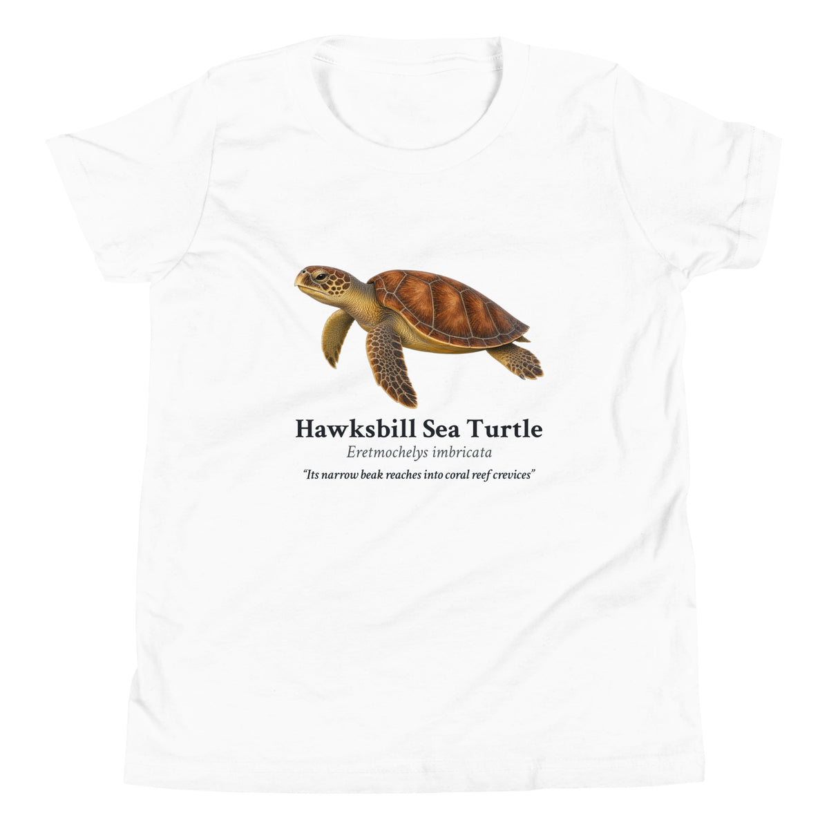 Hawksbill Sea Turtle Kids Tee – White – front