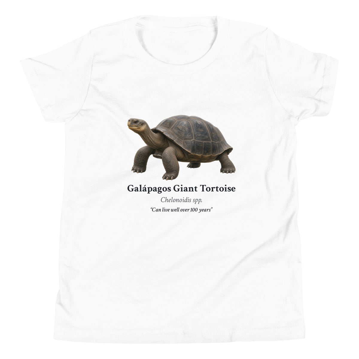 Galápagos Giant Tortoise Kids Tee – White – front
